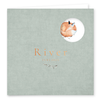 origineel geboortekaartje voor een jongen met een vosje en een velvet achtergrond en koperfolie babynaam